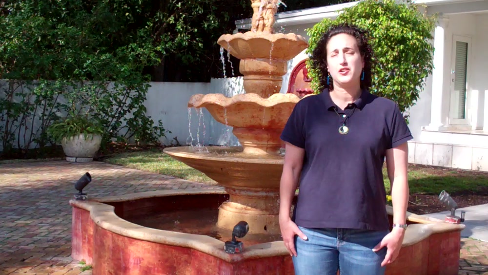 La Fuente The Fountain