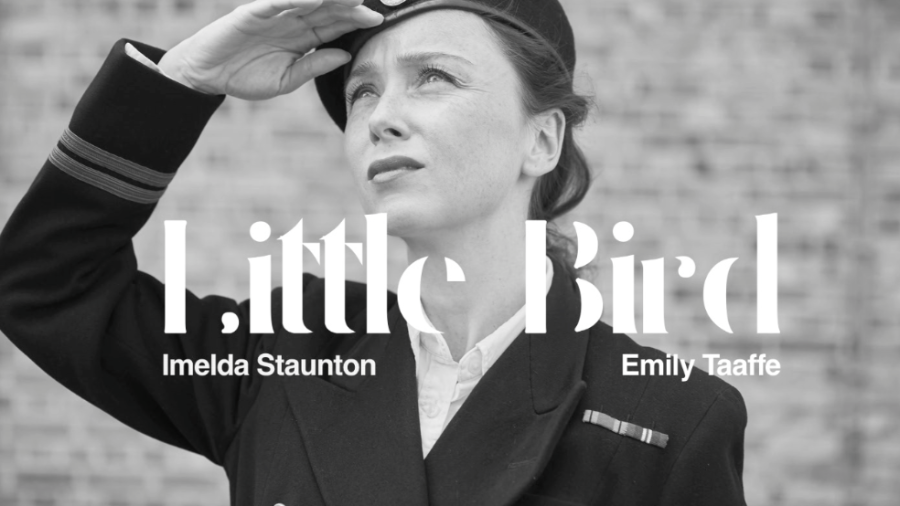 Little Bird