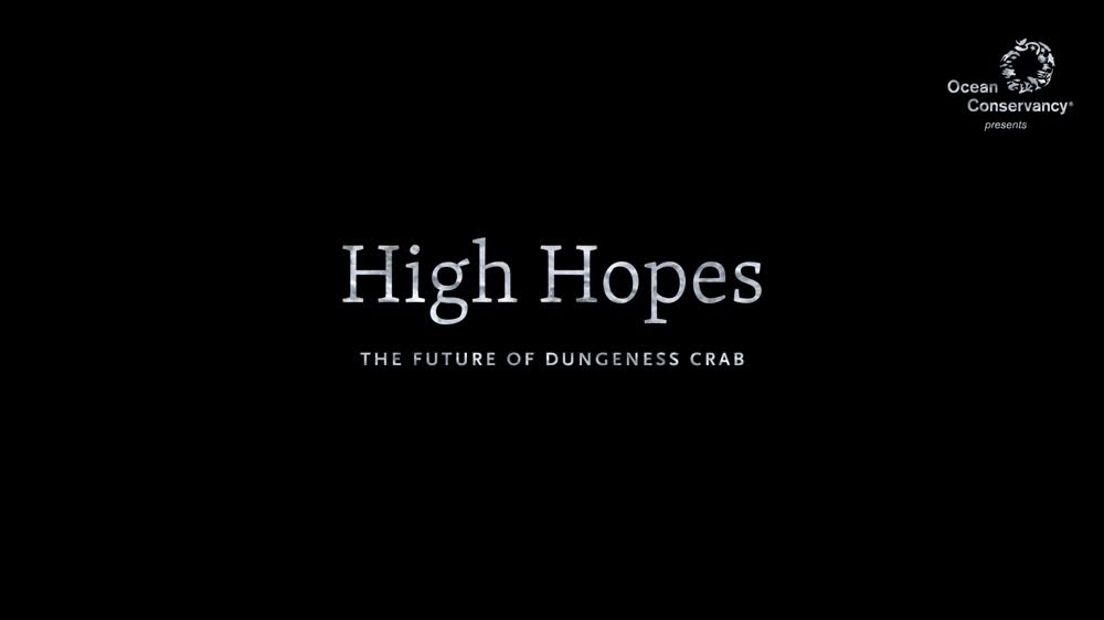 High Hopes 180227 Festival Screener23