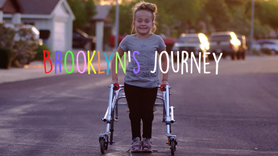Brooklyns Journey